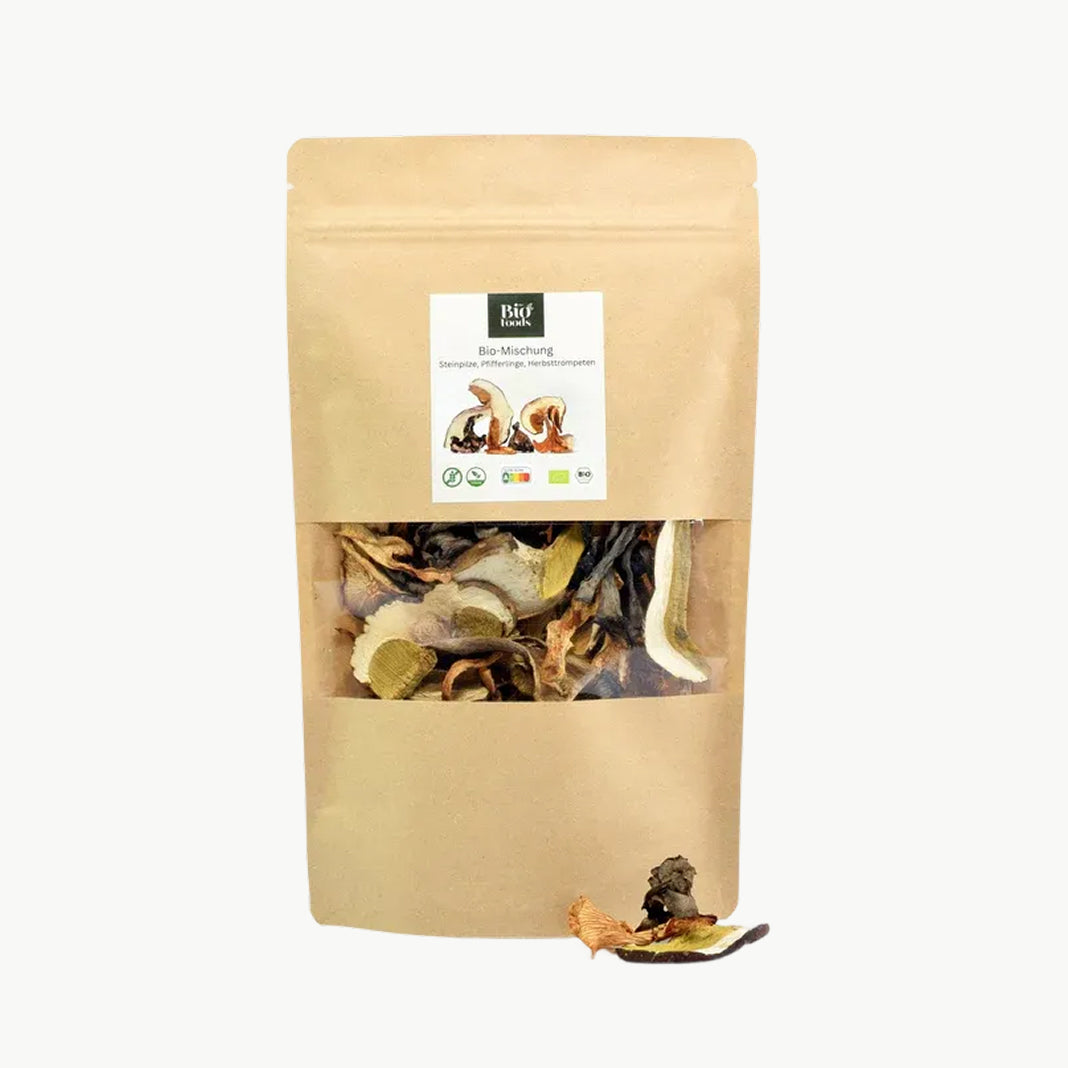 Organic dried mushroom mix in eco-friendly pouch