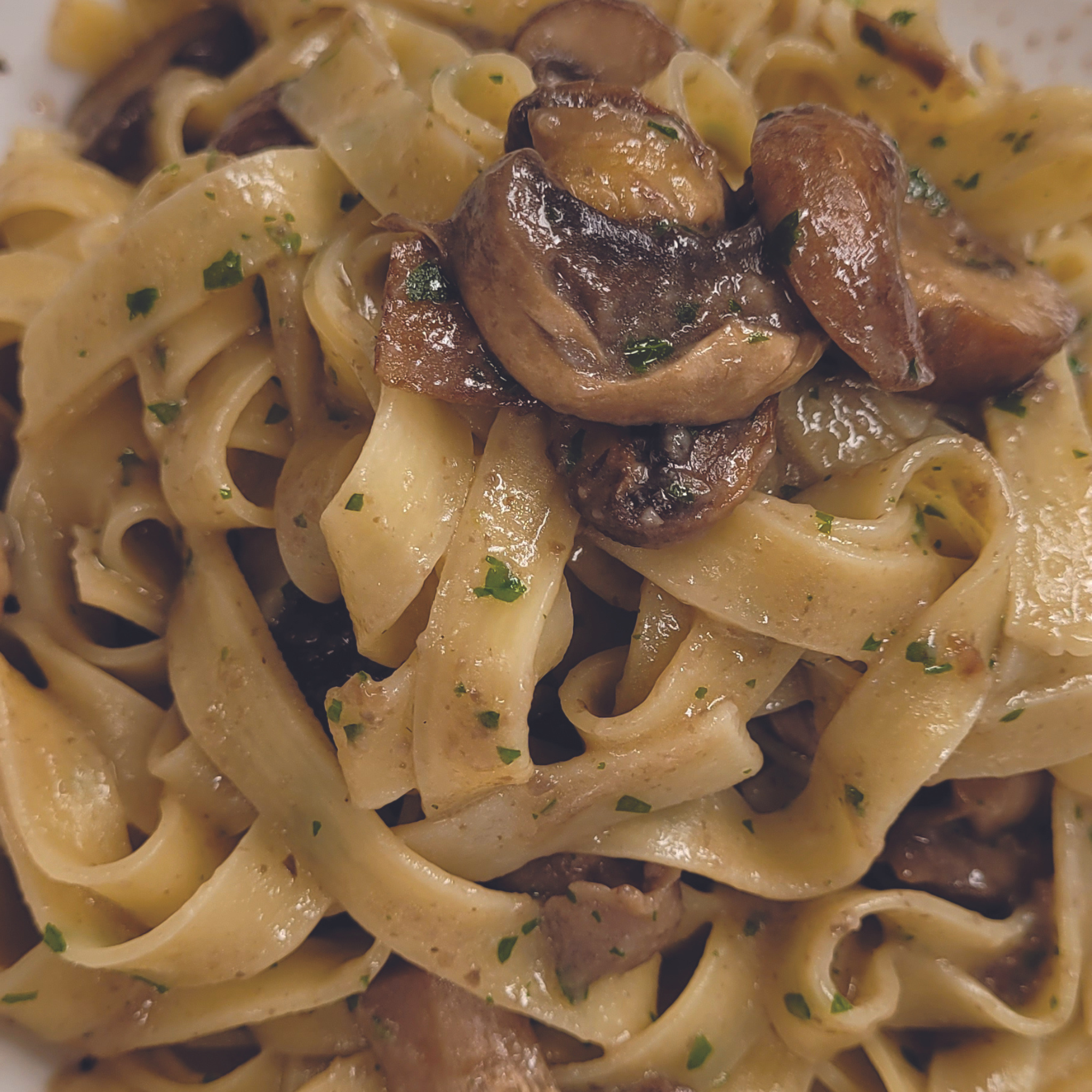 Organic Dried Porcini wild mushrooms with fettuccine pasta and spices. Idea how to cook and prepare the mushrooms.