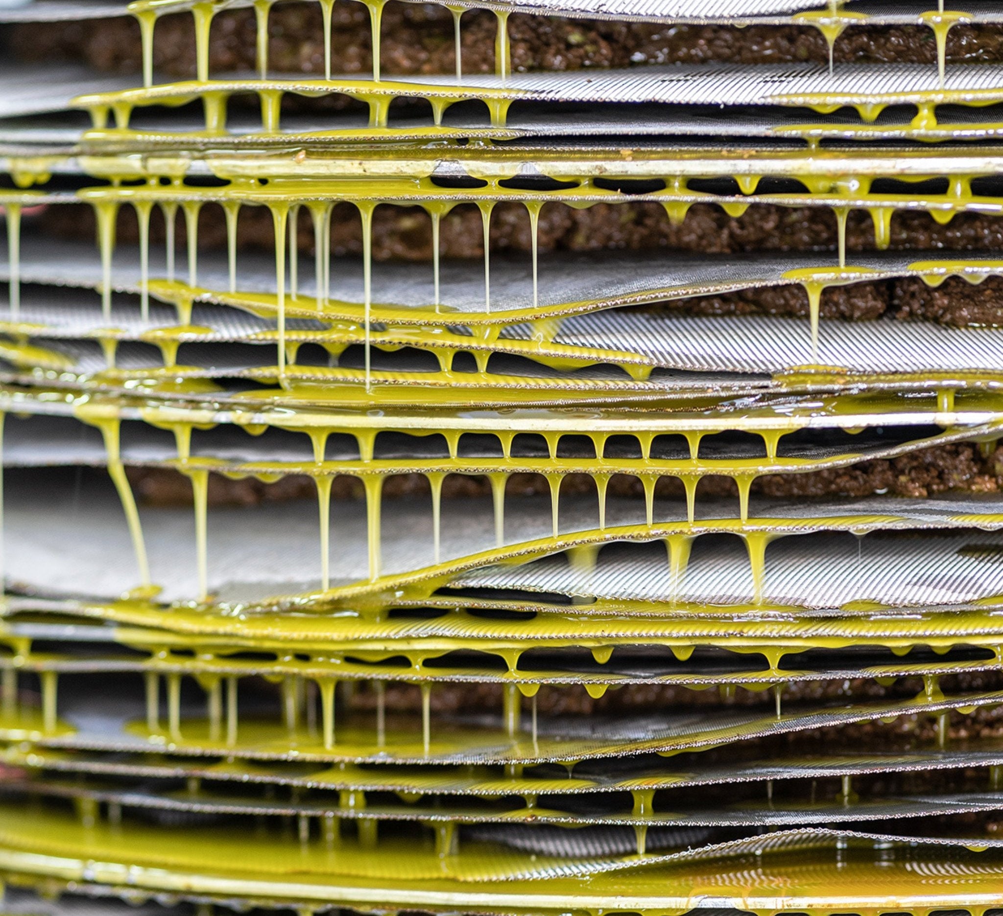 BIOLEA organic olive oil with Nerantzi oranges - The Bio Foods