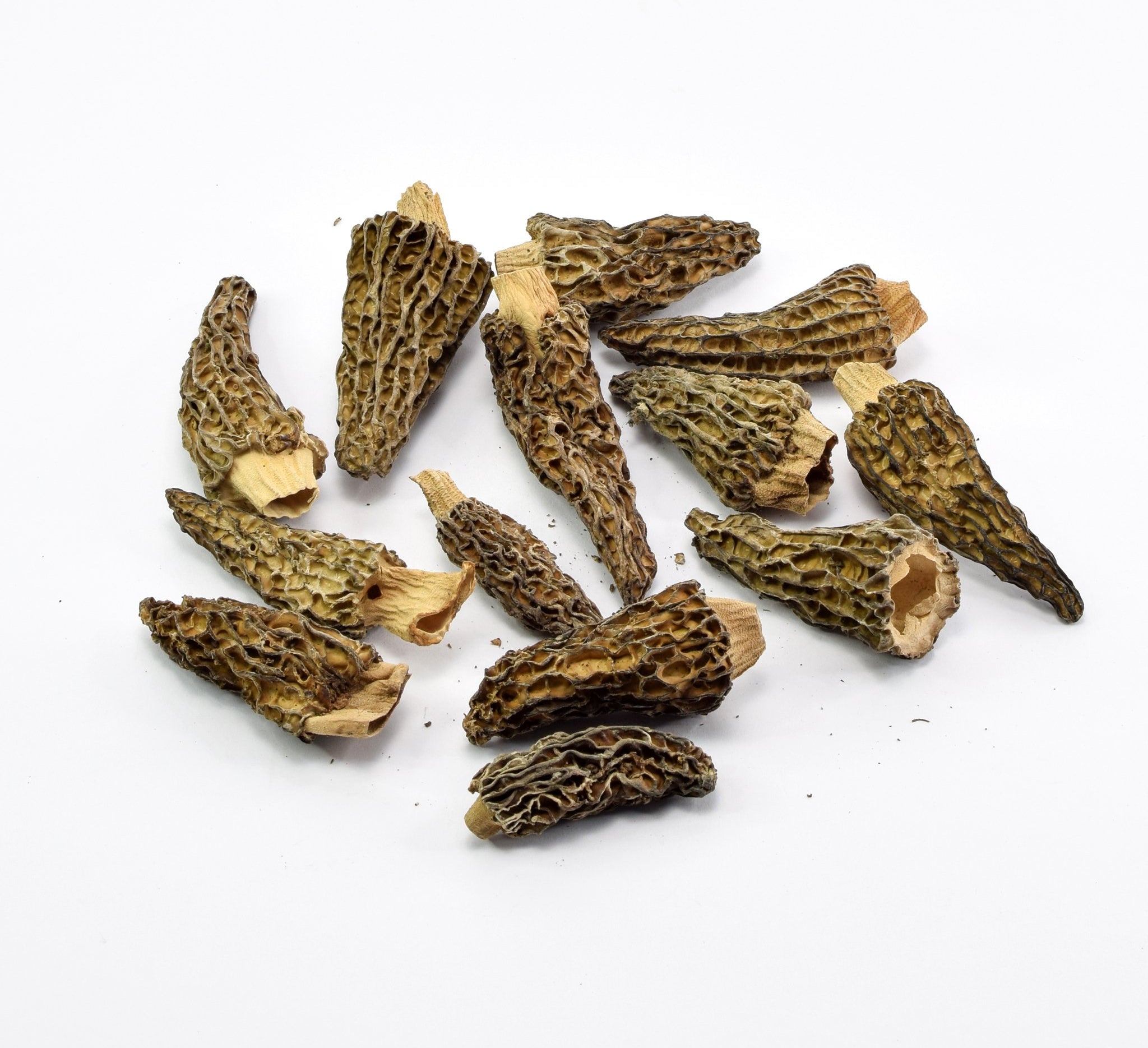 Organic Dried Morels - The Bio Foods