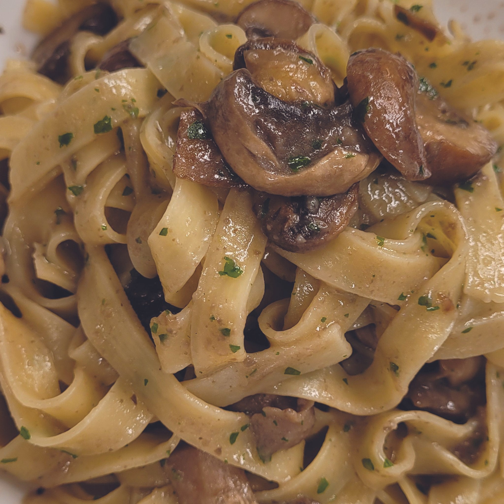 Organic Fettuccine Pasta dish with porcini mushrooms.