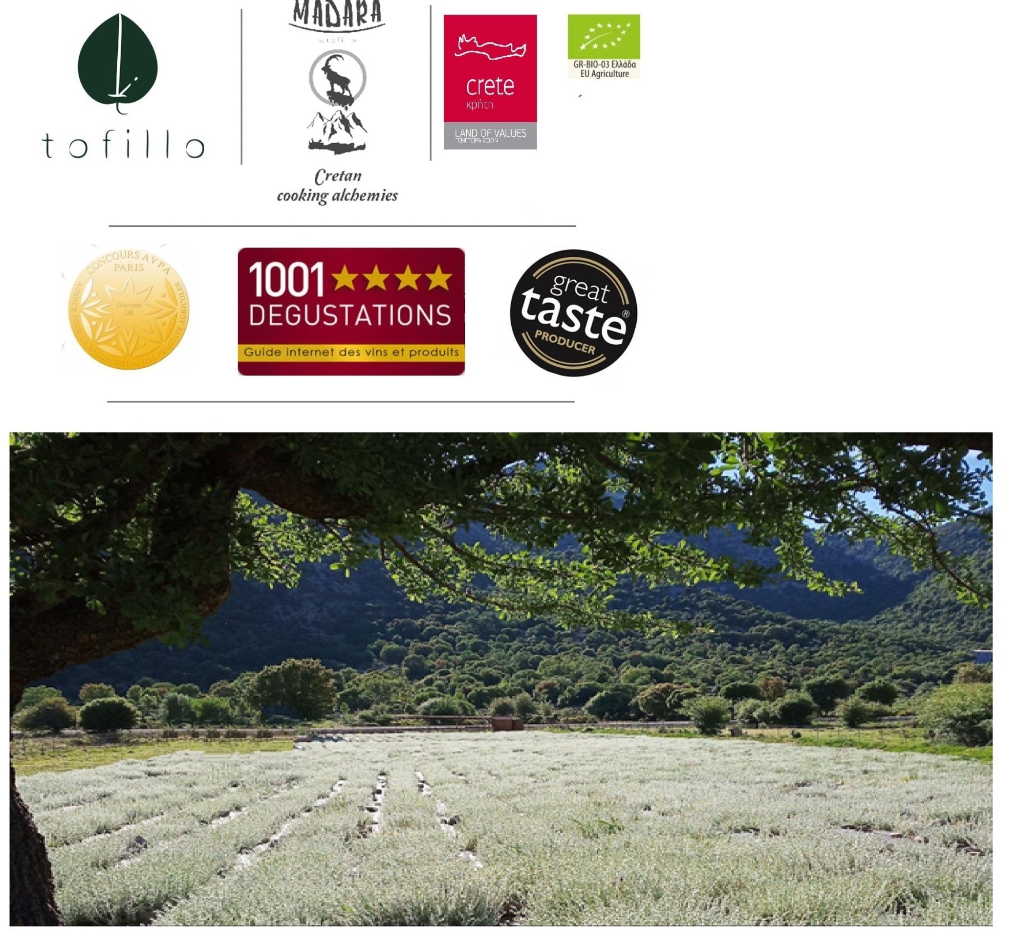 Organic Malotira Tea | Herbal Greek Mountain Tea | Buy Certified Organic Food in Berlin at The Bio Foods | Harvest 2024