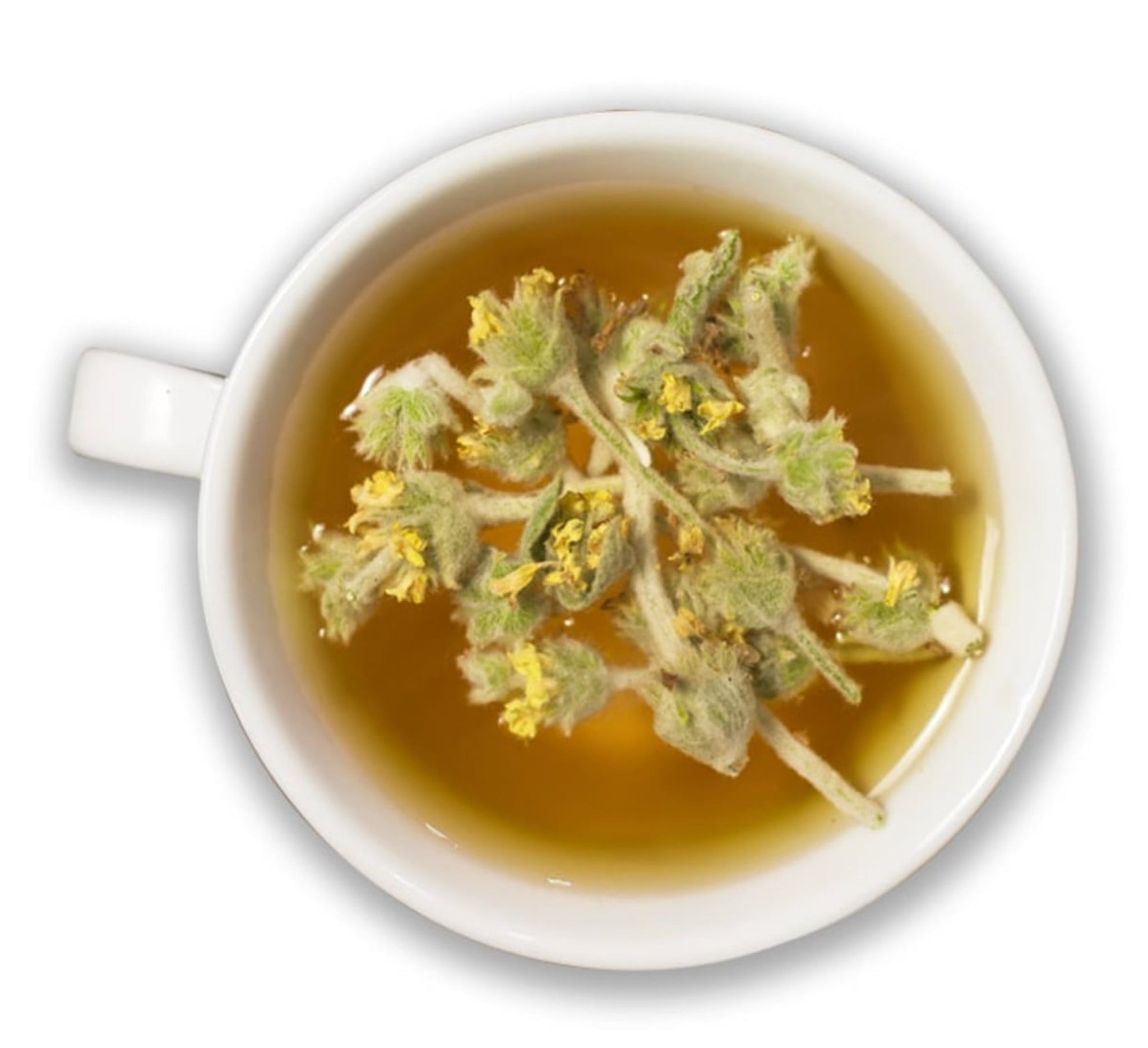 Organic Malotira Tea | Herbal Greek Mountain Tea | Buy Certified Organic Food in Berlin at The Bio Foods | Harvest 2024