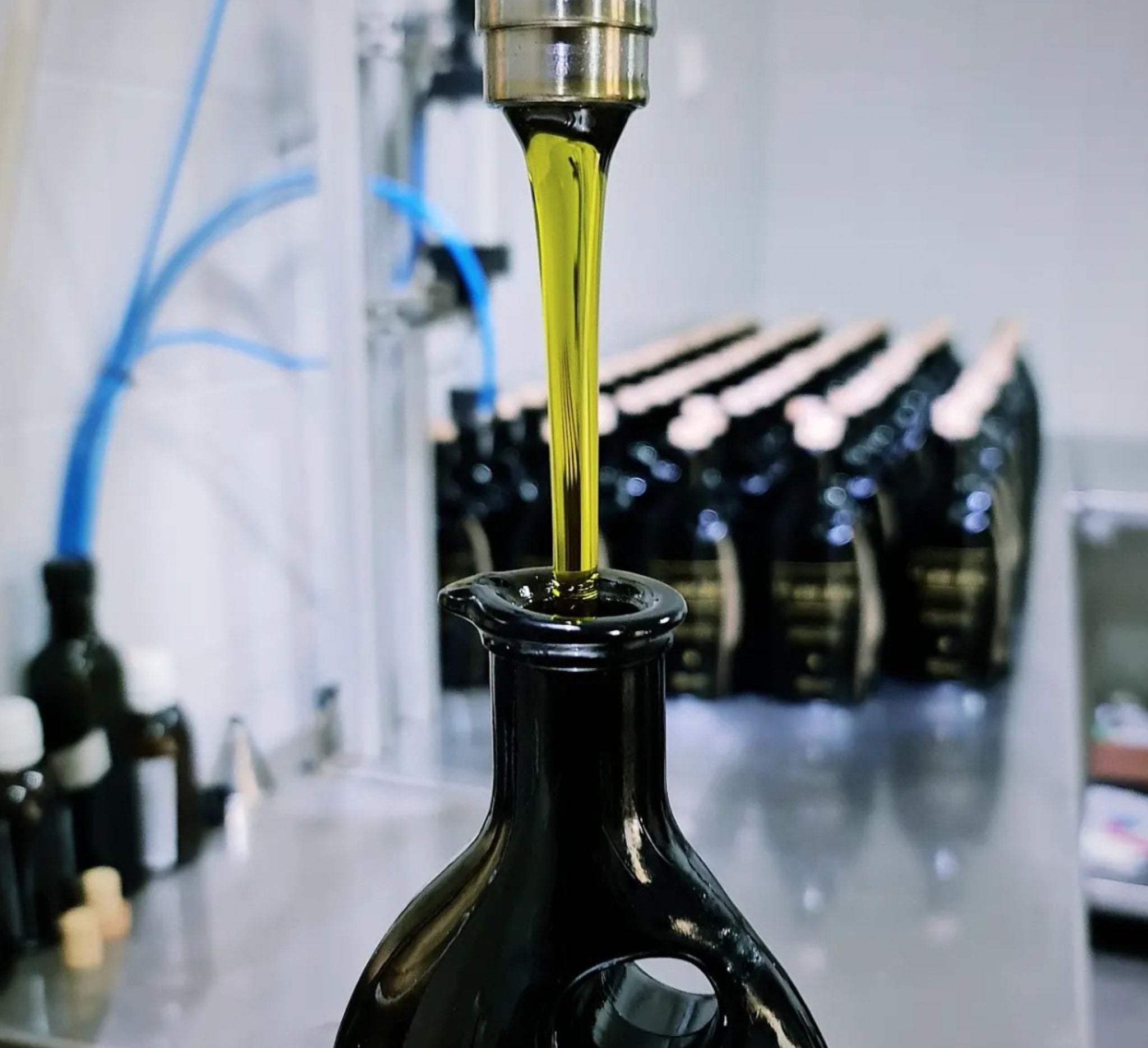 Organic EVOO test winner | Best Olive Oil 2025 | Pamako Monovarietal Olive Oil | The Bio Foods