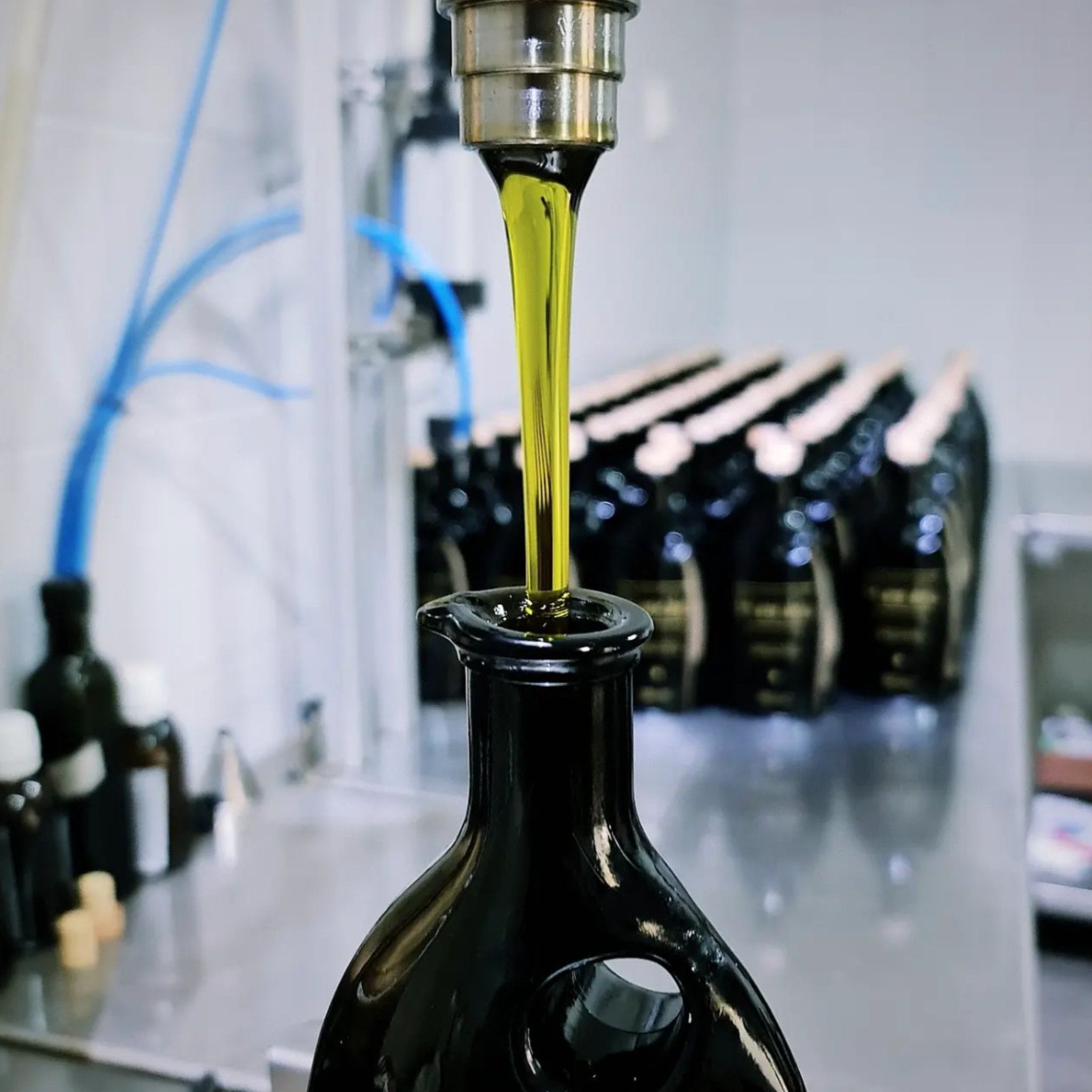 Organic EVOO test winner | Best Olive Oil 2025 | Pamako Monovarietal Olive Oil | The Bio Foods