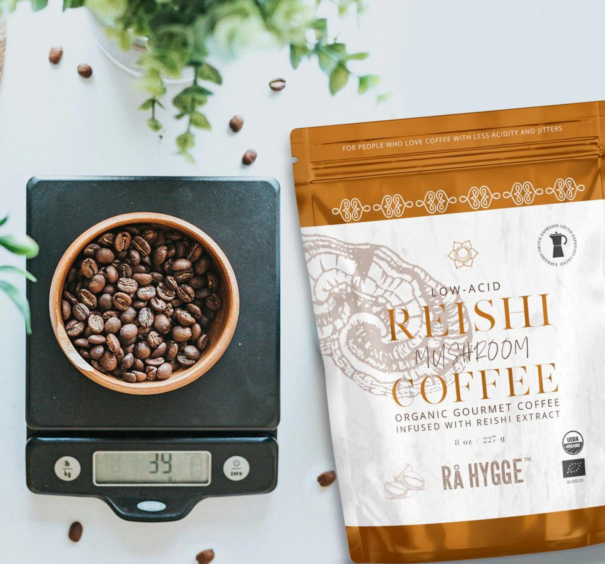 Organic Reishi coffee with earthy aroma beans on the scale.