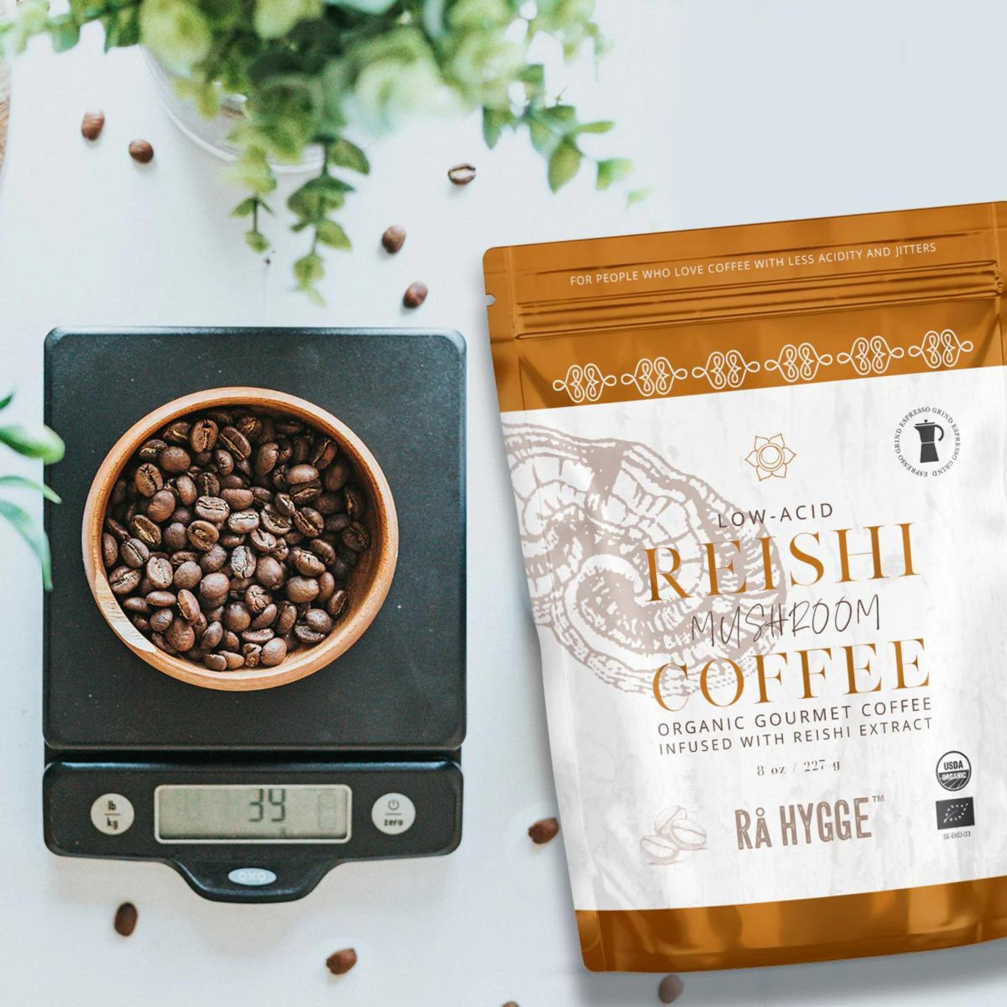 Organic Reishi coffee with earthy aroma beans on the scale.