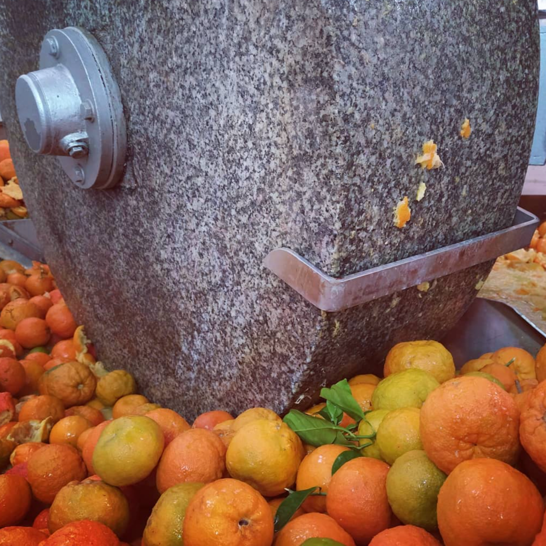 Biolea – Tradition Meets Innovation in Olive Oil Making