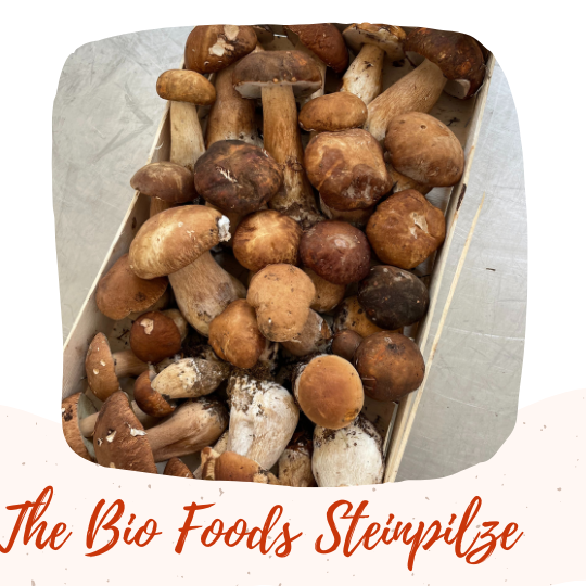 Organic Dried Porcini Mushrooms -> New Season